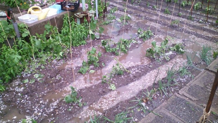 Първомайци се почувстваха венецианци за кратко