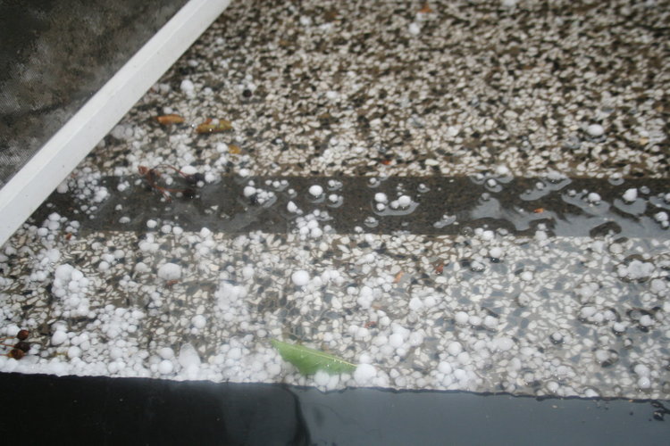 Първомайци се почувстваха венецианци за кратко