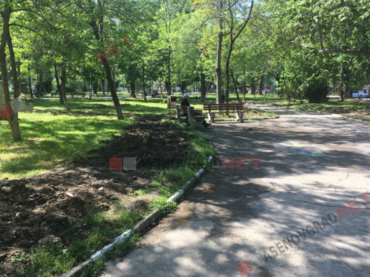 Ново събиране на оферти за доставка на растителност, след като „Флора-Ж” се отказа от ангажимента