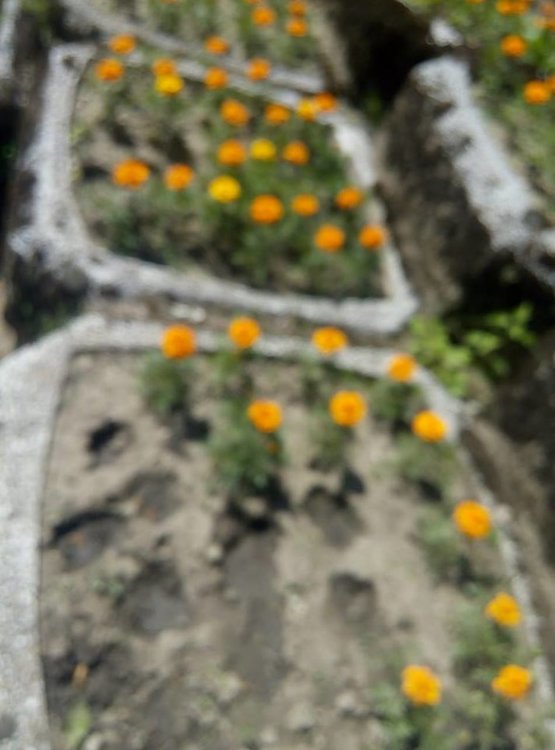 Вандалските прояви в Смолян продължават: измъкнати цветя от кашпите и разрушена детска площадка