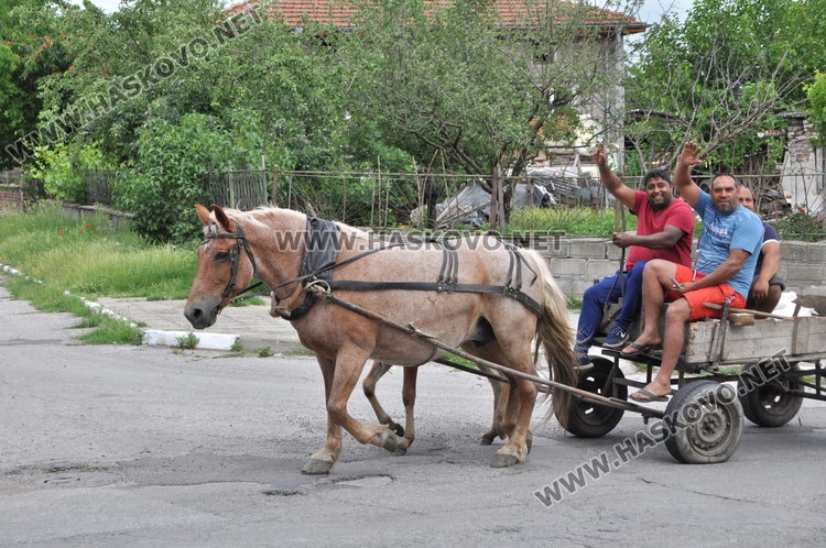 МВР нищи престъпността в селата, в Радиево било спокойно