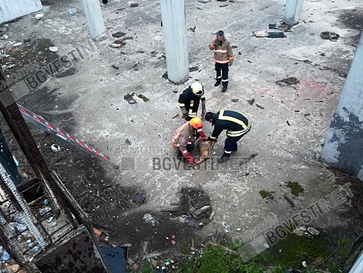 Пожарникари спасиха сърничка от строителен капан