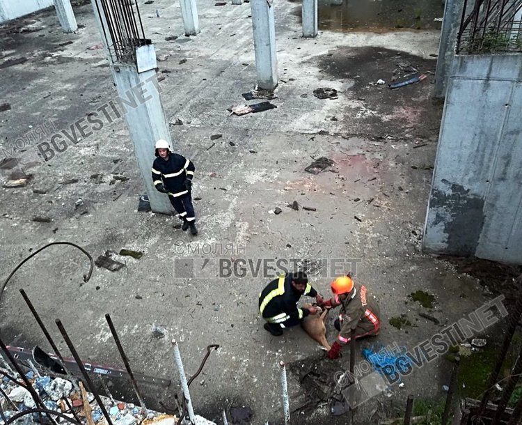 Пожарникари спасиха сърничка от строителен капан