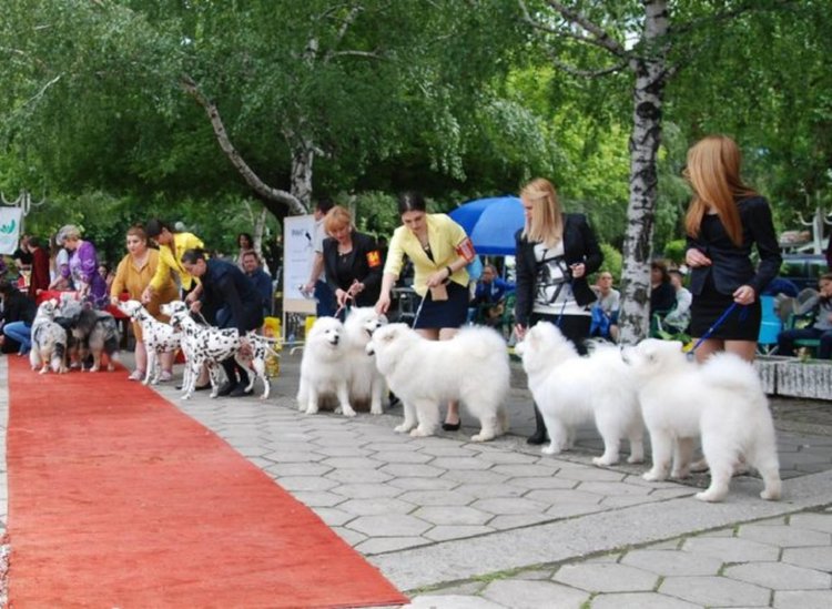 Започва киноложки уикенд в Първомай