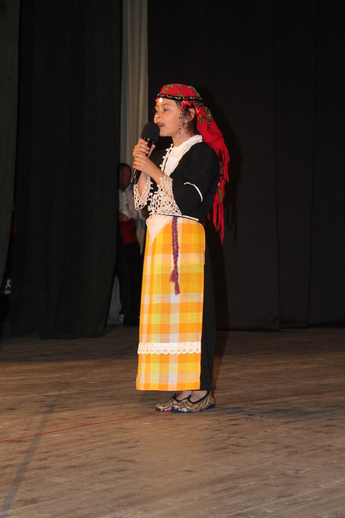 Дипломати от ЕС пяха „Седнало е Джоре дос”