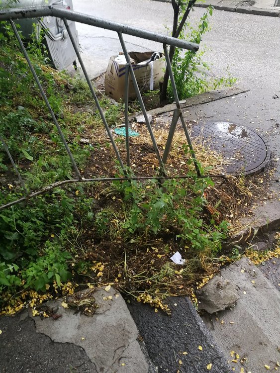 Хасковлия: парапетът на стълбището край „Стара планина” е разбит