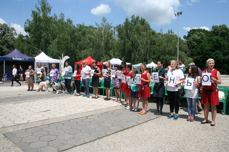 Ретривър е най-красивото куче на The Dog Show 2018
