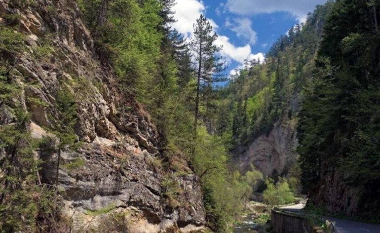 Снимката е илюстративна, източник:интернет