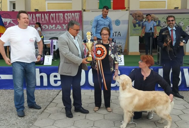 Ретривър е най-красивото куче на The Dog Show 2018
