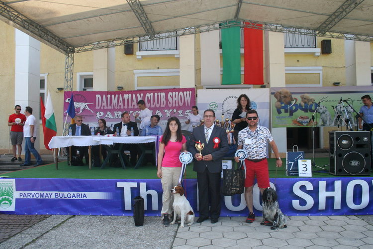 Ретривър е най-красивото куче на The Dog Show 2018