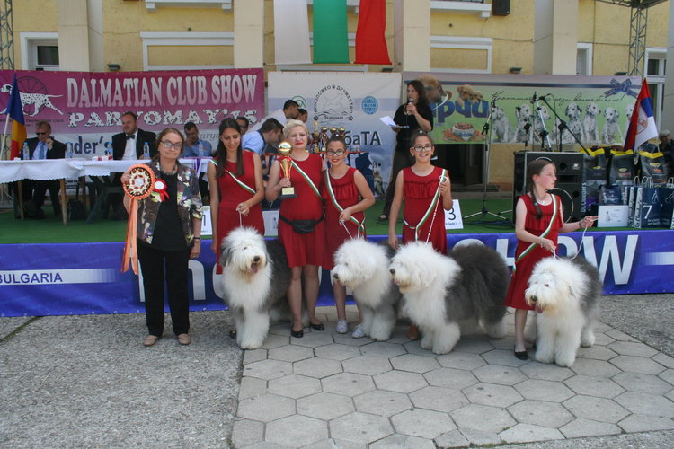 Ретривър е най-красивото куче на The Dog Show 2018