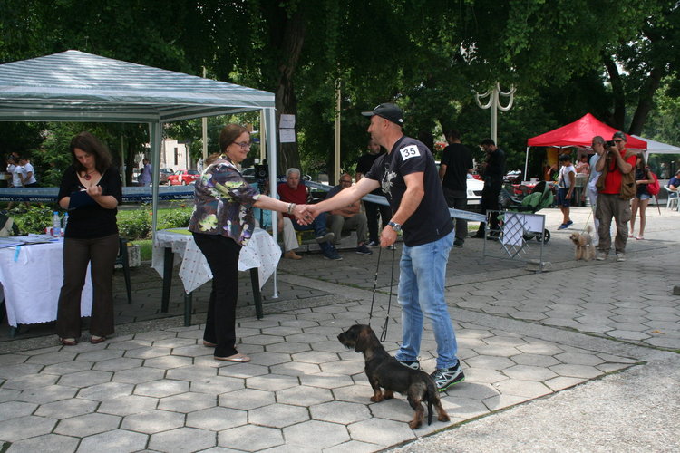 Ретривър е най-красивото куче на The Dog Show 2018