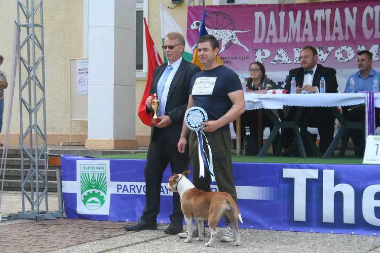 Ретривър е най-красивото куче на The Dog Show 2018