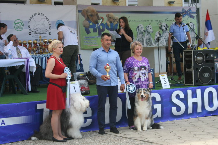Ретривър е най-красивото куче на The Dog Show 2018