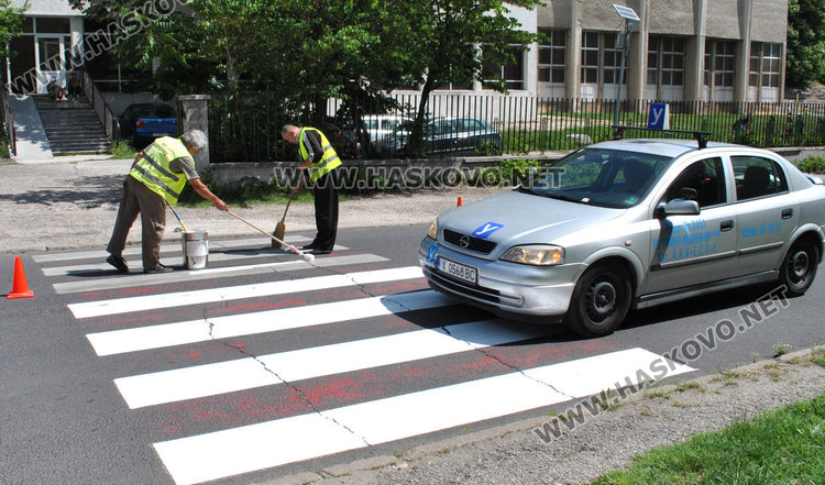 Всички зебри в Хасково ще са бели, първите 10 вече боядисани