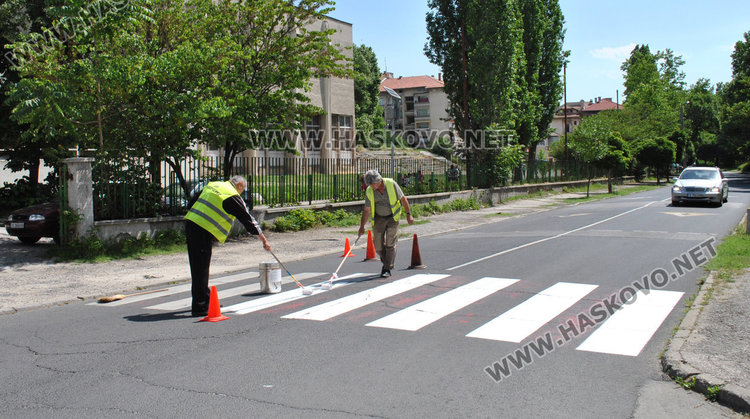 Всички зебри в Хасково ще са бели, първите 10 вече боядисани