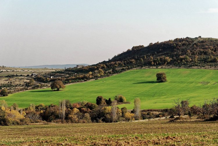Любимата снимка на областният Станислав Дечев е на Петя Димитрова