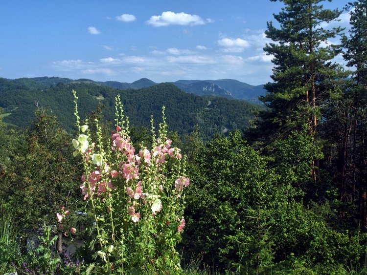 Слънчева събота, с малко облаци и ветрец