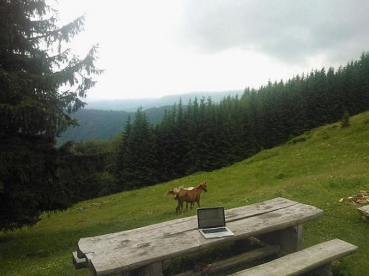 Майсторът на пейзажа Владимир Донков се завръща в Дъждовница