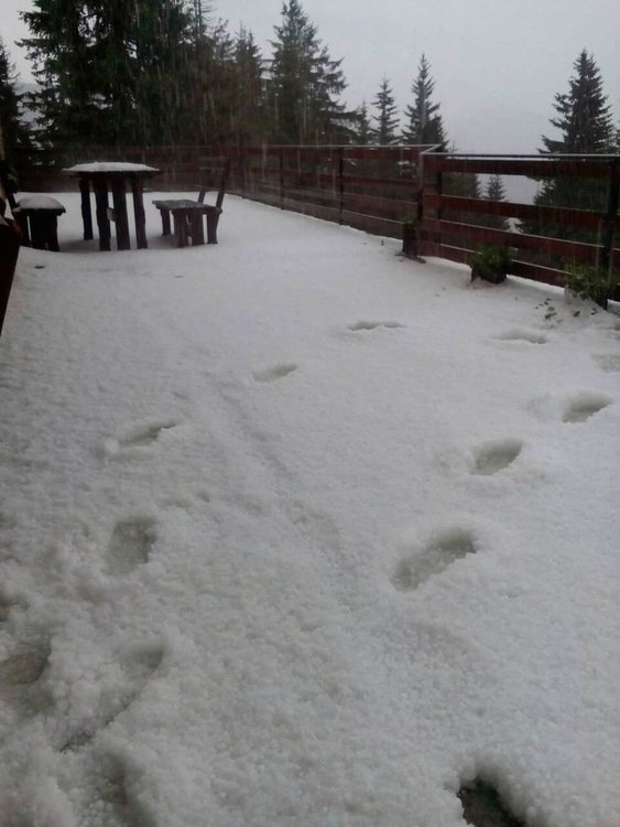 Леден дъжд удари в Родопите, земята побеля