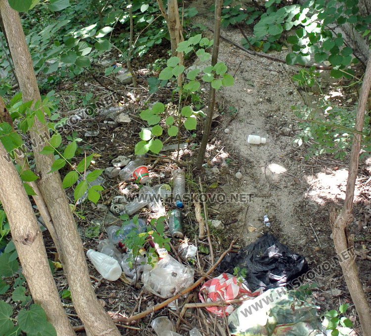 Умряло куче е вмирисвало „Георги Кирков“, отнесоха го