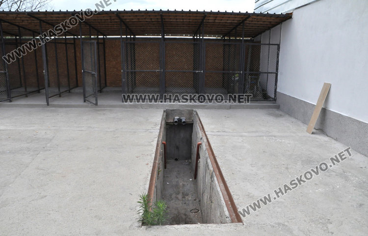 Кучешкият приют почти готов, но бюрокрацията ще го забави 