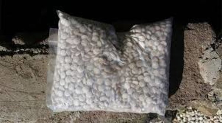  Голям удар на полицията в Смолян: Иззеха от жена стотици хапчета дрога