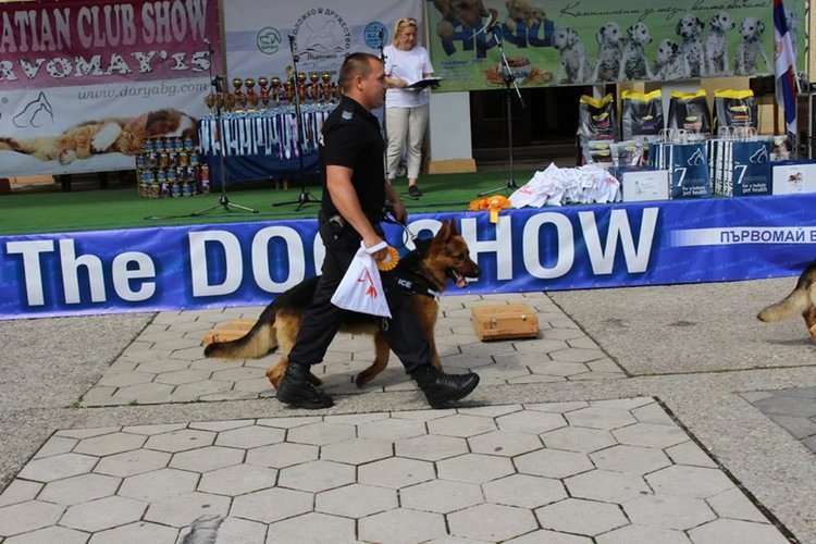 За служебните кучета: Не всички спасители са хора