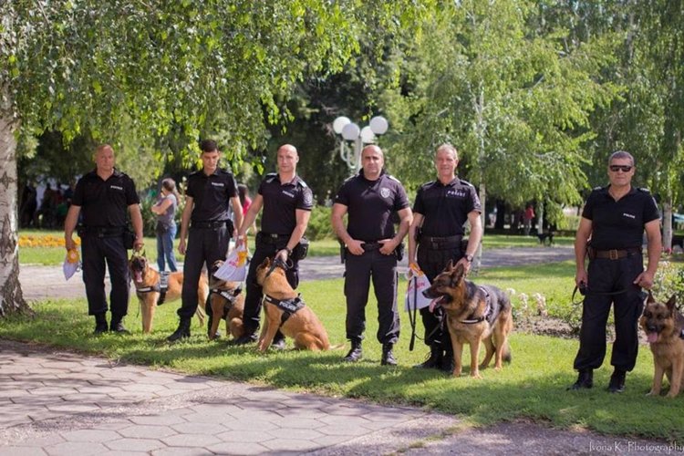 За служебните кучета: Не всички спасители са хора