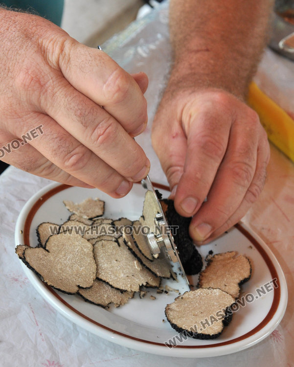 Кметско куче изравя трюфели в гората край Райново