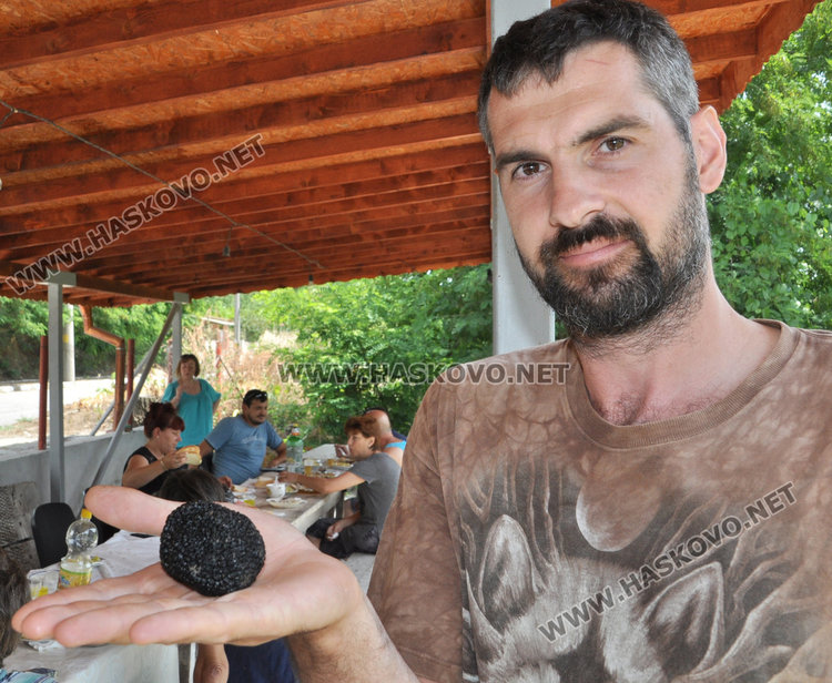 Кметско куче изравя трюфели в гората край Райново