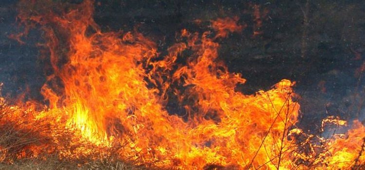 63-годишен запали сухи треви, обгази се от пожара и загина