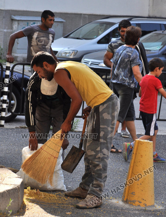 Общинска полиция друсна 7 акта на метачи на липа за половин час