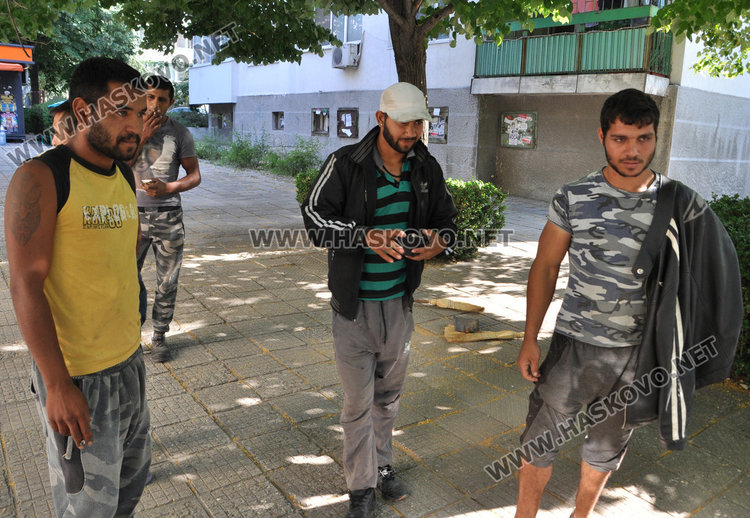 Общинска полиция друсна 7 акта на метачи на липа за половин час