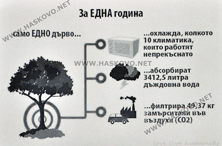 Учат деца как да помогнат на ранено диво животно 