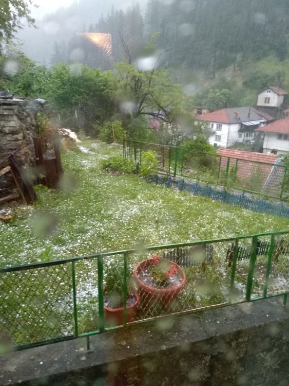 Градушка в Соколовци, снимка фейсбук Мария Берова