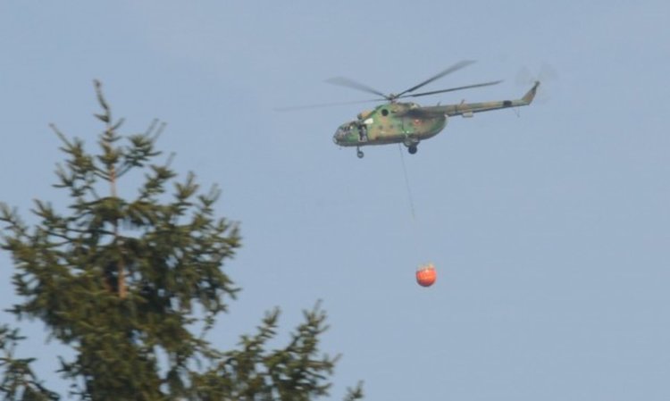 Пускат над Хасковско въздушни ваксини срещу бяс по лисиците