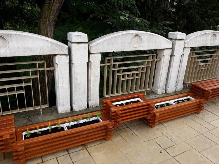 Още 16 500 цветя от общинската оранжерия за по-красив Смолян