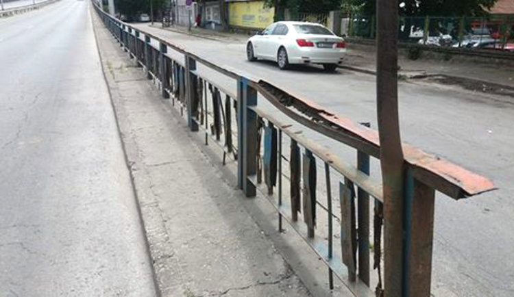 Хубен Стефанов: Няма неблъснато крайпътно дърво на завой в Хасково