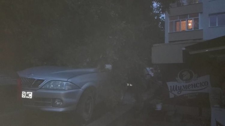 Дърво падна върху джип, размина се с драскотини по колата