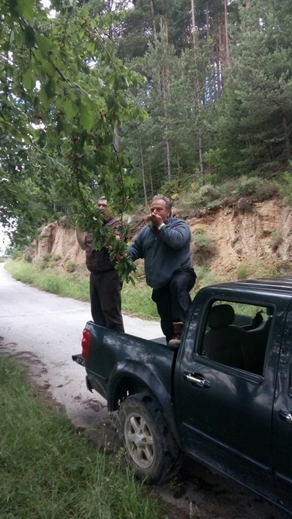 снимка фейсбук