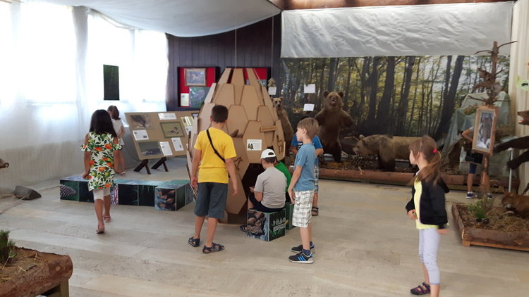 За шеста поредна година РИМ „Стою Шишков“ организира "Ваканция в музея"