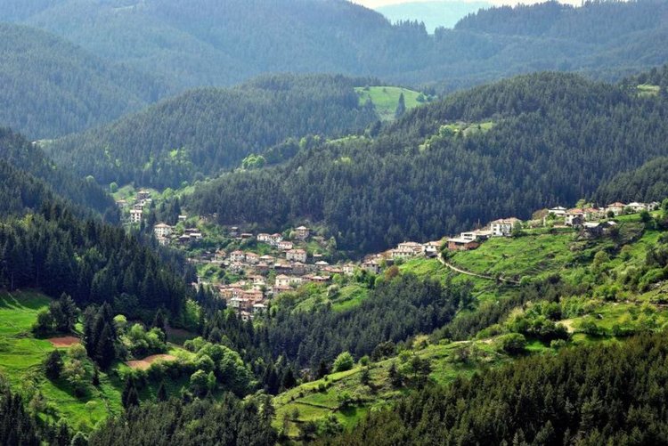 350 килограма месо обречени за курбана на празника на Виево