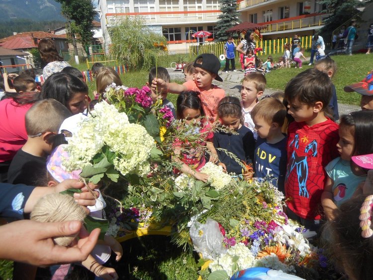 Малчуганите от "Родопчанче" се запознаха с лечебните билки в навечерието на Еньовден