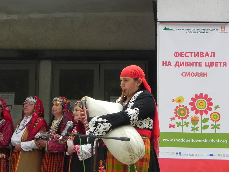 Фестивалът на дивите цветя отново събира любителите на природата и фолклора в Родопите