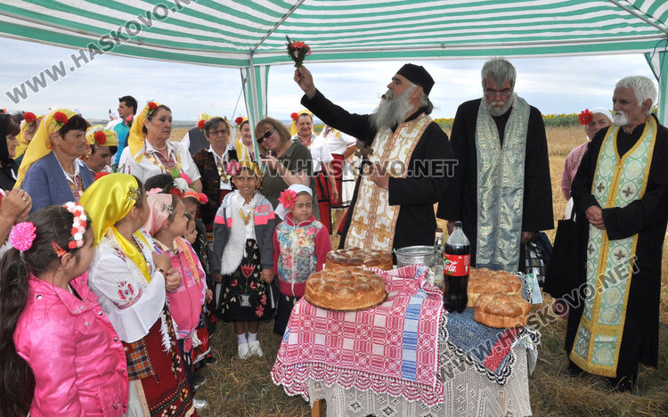 Зажънаха ечемика в Хасковско от Странско