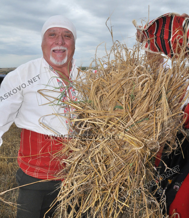 Зажънаха ечемика в Хасковско от Странско