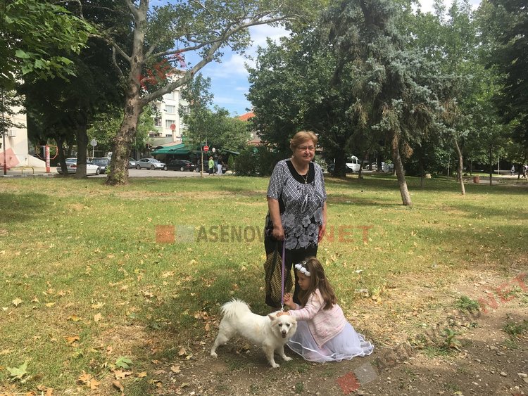 500 калиници направиха Асеновград по-бял и по-красив на Еньовден