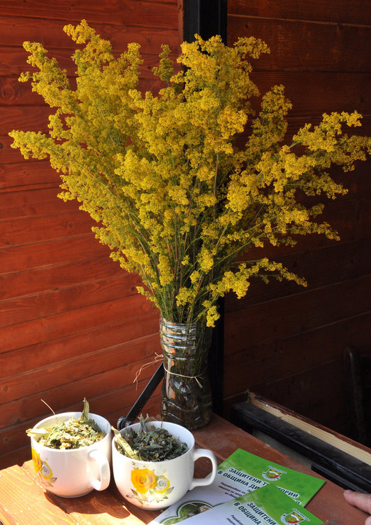 В неделя се редуват слънце с облаци
