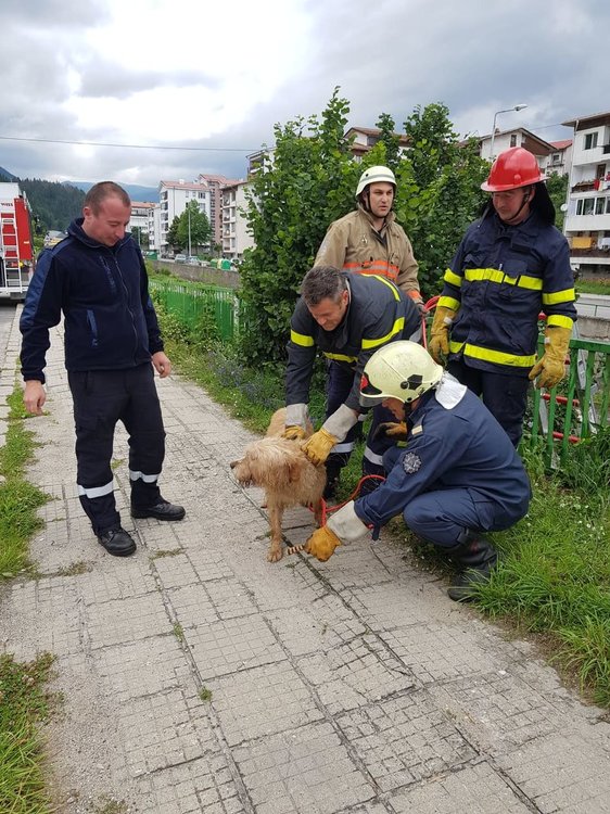 Снимка: Мария Сидова